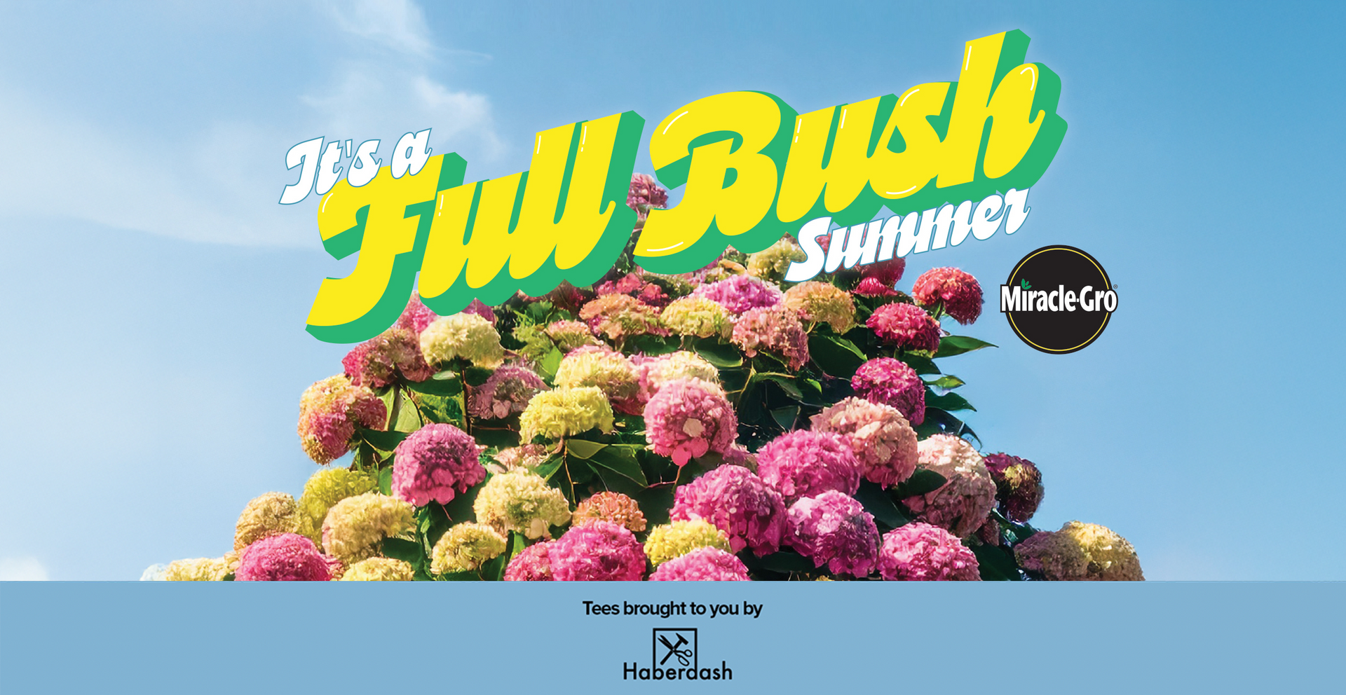 Full Bush Summer
